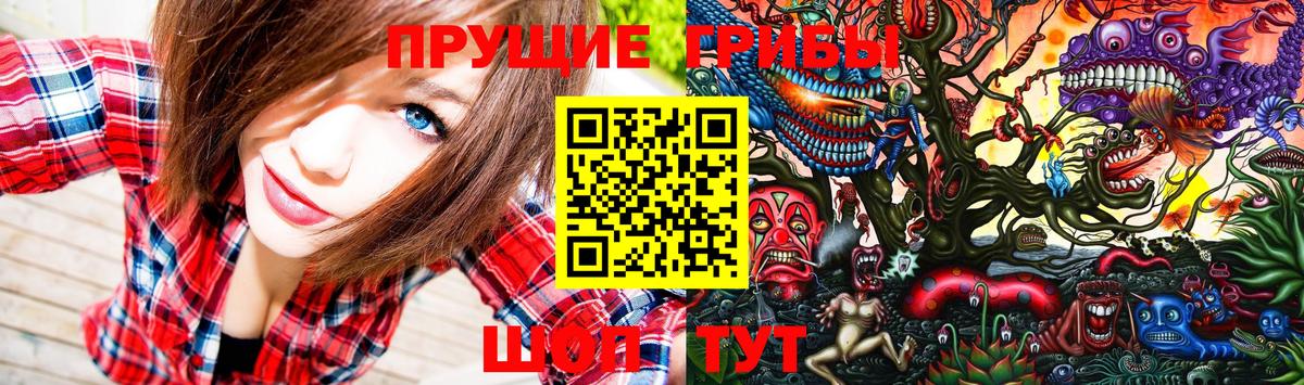 Псилоцибиновые грибы MAGIC MUSHROOMS  Вход с VPN  Ковров 